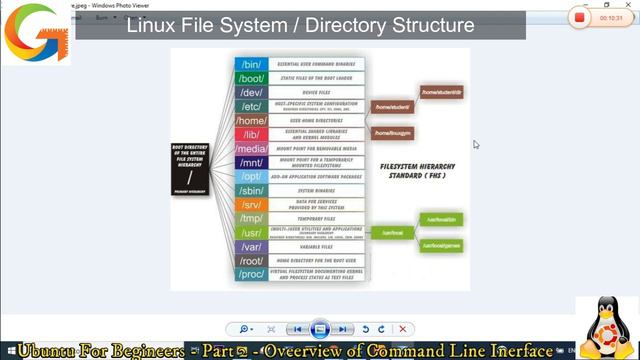 Overview of Linux Terminal | Linux Directory Structure | Linux Command Line Tutorial For Beginners