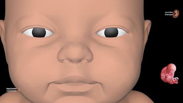 كل مل يلزم أن تعرفه الحامل عن الجماع أثناء الحمل وهل يضر الجنين смотреть онлайн