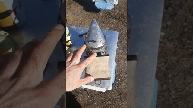 Уход за мехом дымаря смотреть онлайн