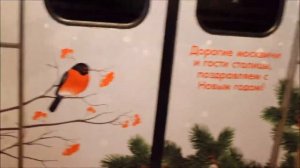 Новогодний поезд из вагонов Еж3 (81-710)