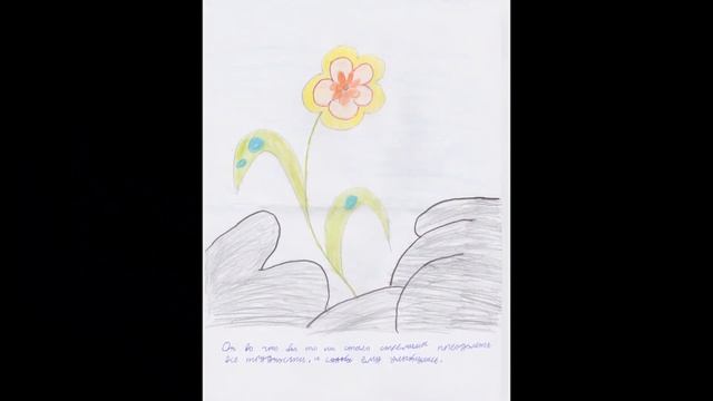 Неизвестный цветок смотреть онлайн