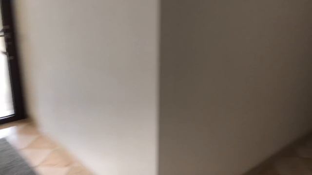 влог: наш день, где теперь гуляем? смотреть онлайн