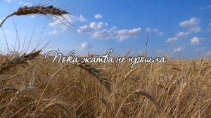 Здесь и там поля белеют, глаз не видит им конца