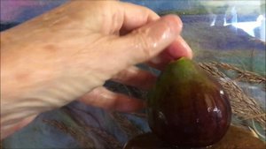 Figs. Figs varieties. Инжир. Разнообразие сортов инжира. Дегустация, характеристики, сравнение.