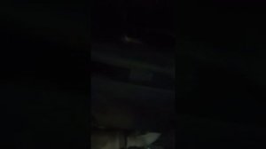 Пинается паджеро мини