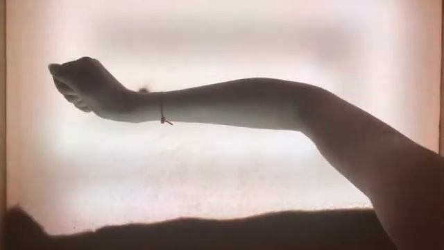 Ирина Завалко - Волосы Вероники смотреть онлайн