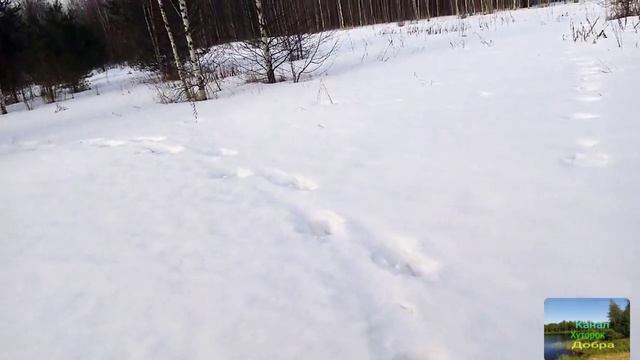 Любимые песни о зиме. Сборник дискотечных песен.