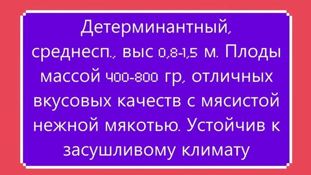 КАТАЛОГ ТОМАТОВ 2023 г. Часть 6.