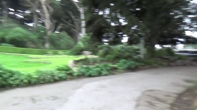 Сан Франциско. Парк Золотые Ворота смотреть онлайн