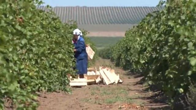 Эффективно использовать земли сельхозназначения