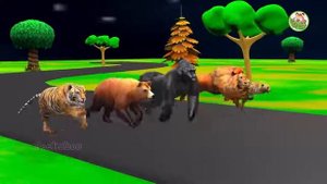 Which Is The Fastest Animal? In This Animals Speed Running Race Outdoor (Wild Animal Race)