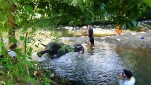 Экскурсия на Као Сок и озеро Чео Лан. Катание на слонах. Пхукет, декабрь 2022г