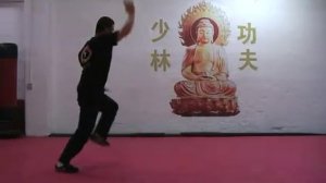 Shifu Heng Wei Tutorials - BaJiQuan Part One