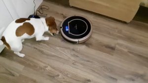 Буба и пылесос