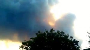 Пожар в лесу. Село Костогрызово, Херсонская область. 12 сентября 2017г.
