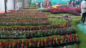 നമ്മുക്ക് Kottayam  Flower Show കാണാൻ പോയല്ലോ /പുഷ്പമേള /Noufis Cooking Channel