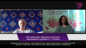 Голубика в глинистой почве