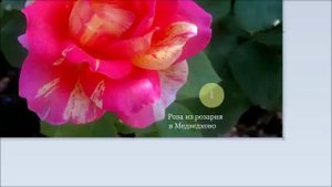 Как подписать изображение в Paint