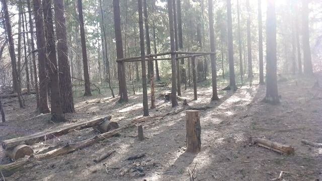 В весеннем лесу. ч.8. Апрель 2023