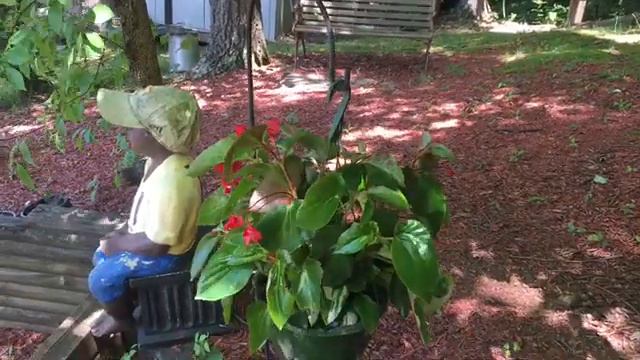 Let's Plant Some Flowers//Shade Plants, Flower Bed #flower #shadeplants #plants смотреть онлайн