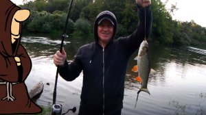 Упорство Вознаграждено! Натаскали Голавлей на донки с берега. Рыбалка на Голавля