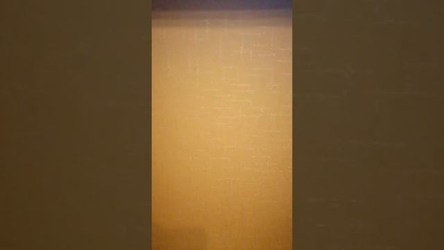 Как поступать, если ваш питомец поцарапал обои смотреть онлайн