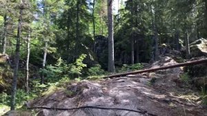 А зори здесь тихие