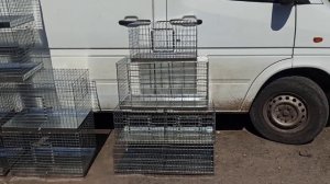 Клетки под заказ и для продажи на выставке голубей.