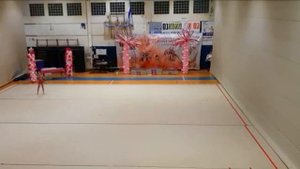 Выступление племянницы Ольги на соревнованиях по художественной гимнастике savsns film