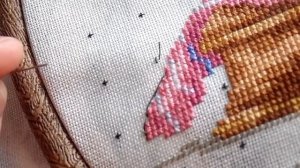 №8. Back Stitch (бэкстич). Счетный и дробный. Мой опыт. Уроки вышивания