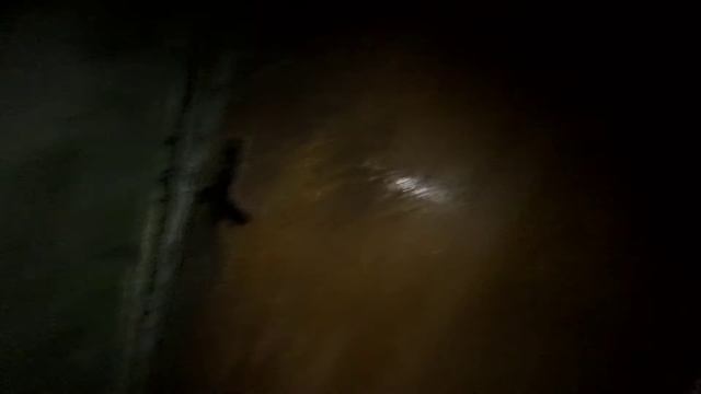 Тизер: Пощекотали себе нервы в заброшенном доме Калининграда смотреть онлайн