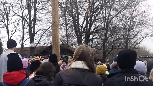 Масленица , Южный парк птиц Малинки смотреть онлайн