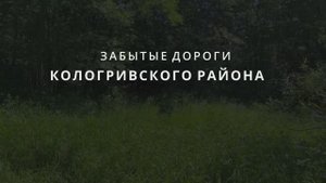 Забытые дороги Кологривского района #1.  Пионер Лагерь Чайка - деревня Дуплениха.