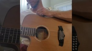 Tanglewood 12 string guitar