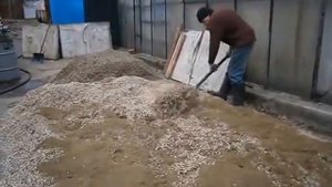 Готовим субстрат для грибов