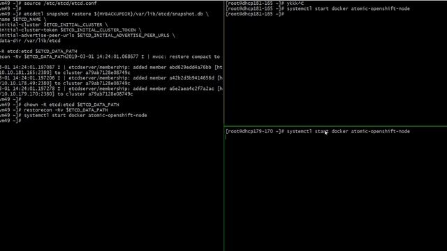 ETCD Recovery All Members Snapshot смотреть онлайн
