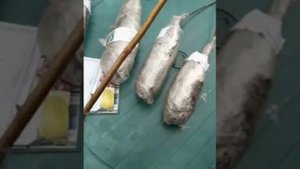 Отзыв Агромаркет ( відгук )
Ежемалина Тайберри и три малиновых дерева