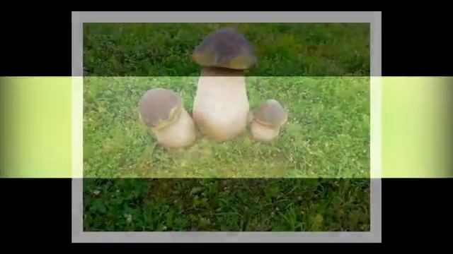 ТАМ ЧУДЕСА, ТАМ... смотреть онлайн