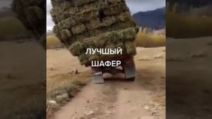 Водитель 80 уровня