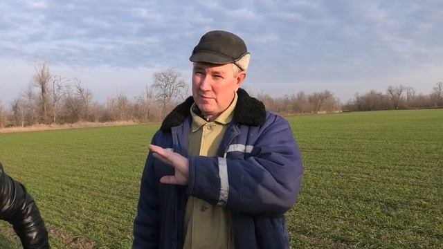 Разложение растительных остатков.