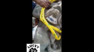 Вскрыли пирамиду Инков Нашли доказательства существования Инопланетян