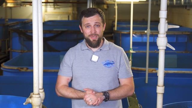 Как САМОСТОЯТЕЛЬНО рассчитать ДЕГАЗАТОР для фермы УЗВ | Аквафермер PRO