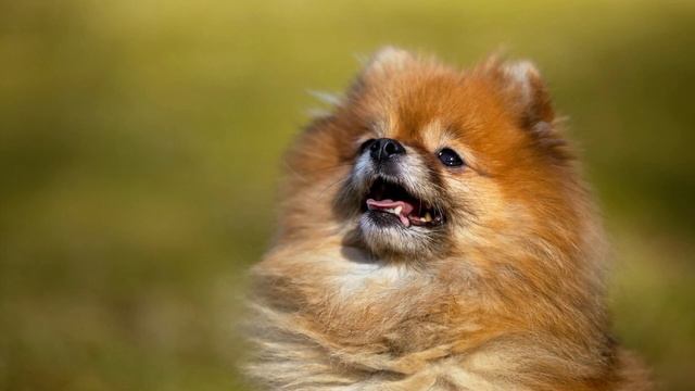 1 час сна Детский сон Супер расслабляющая детская колыбельная ♥ Мягкие стишки перед сном ♫ смотреть онлайн