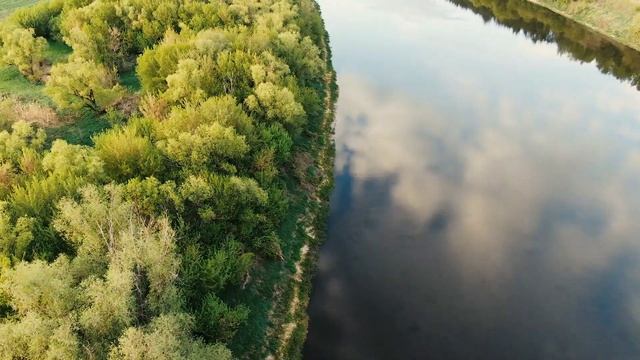 Кривоборье Воронеж