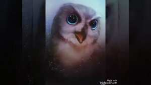 Какая ты сова по знакам задиака?