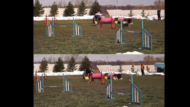 Ресси и Фора Аджилити А2 смотреть онлайн