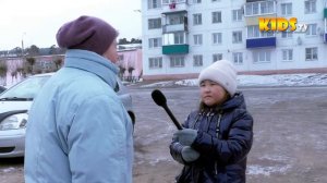 Репортаж о бездомных собаках