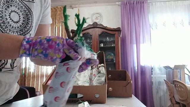 РОЗЫ!!! 