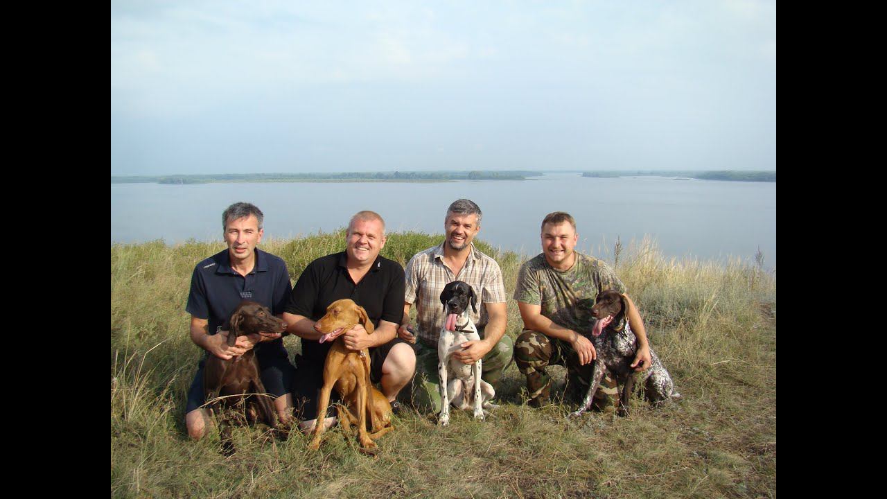 Есть ли дичь на курсе "Азбука натаски"? Очередной отзыв. смотреть онлайн