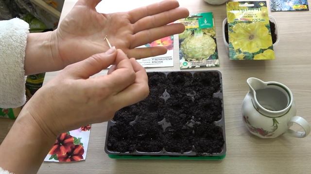Домашнее видео. Хроника. Сею петуньи для кашпо и цинерарию смотреть онлайн